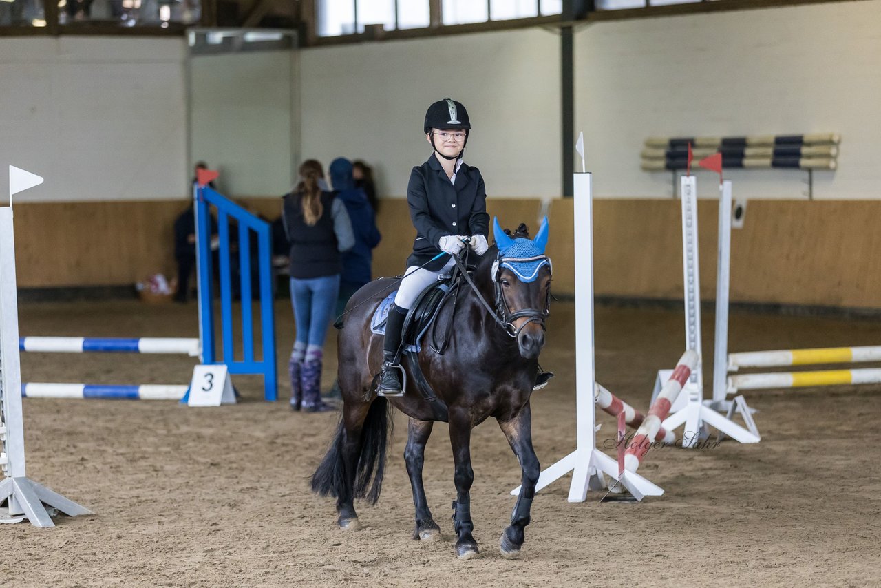 Bild 3 - Pony Akademie Turnier